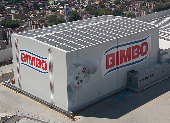 Image of Bimbo