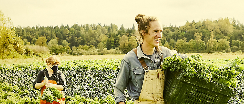 Two people working in a field