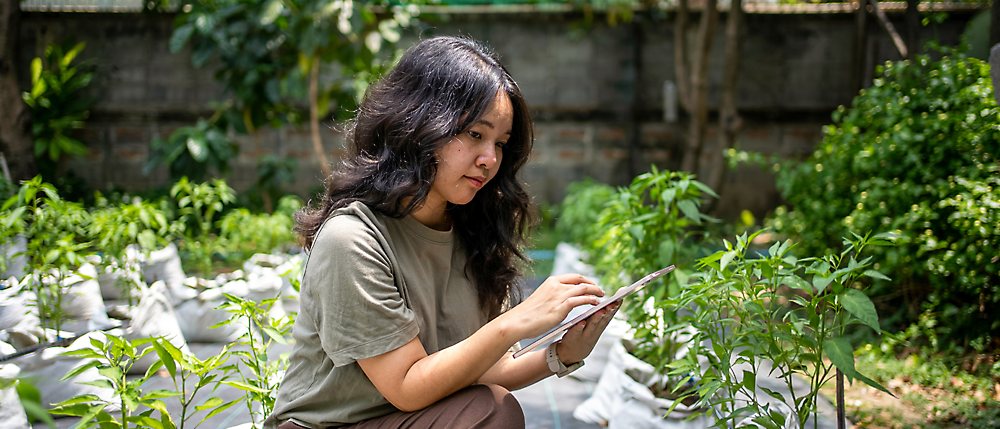 A person sitting in a greenhouse