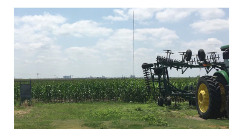 A large green sprayer vehicle sits in front of a field of corn.