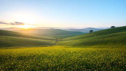 Rolling fields of spring grass as the sun rises on the far horizon.