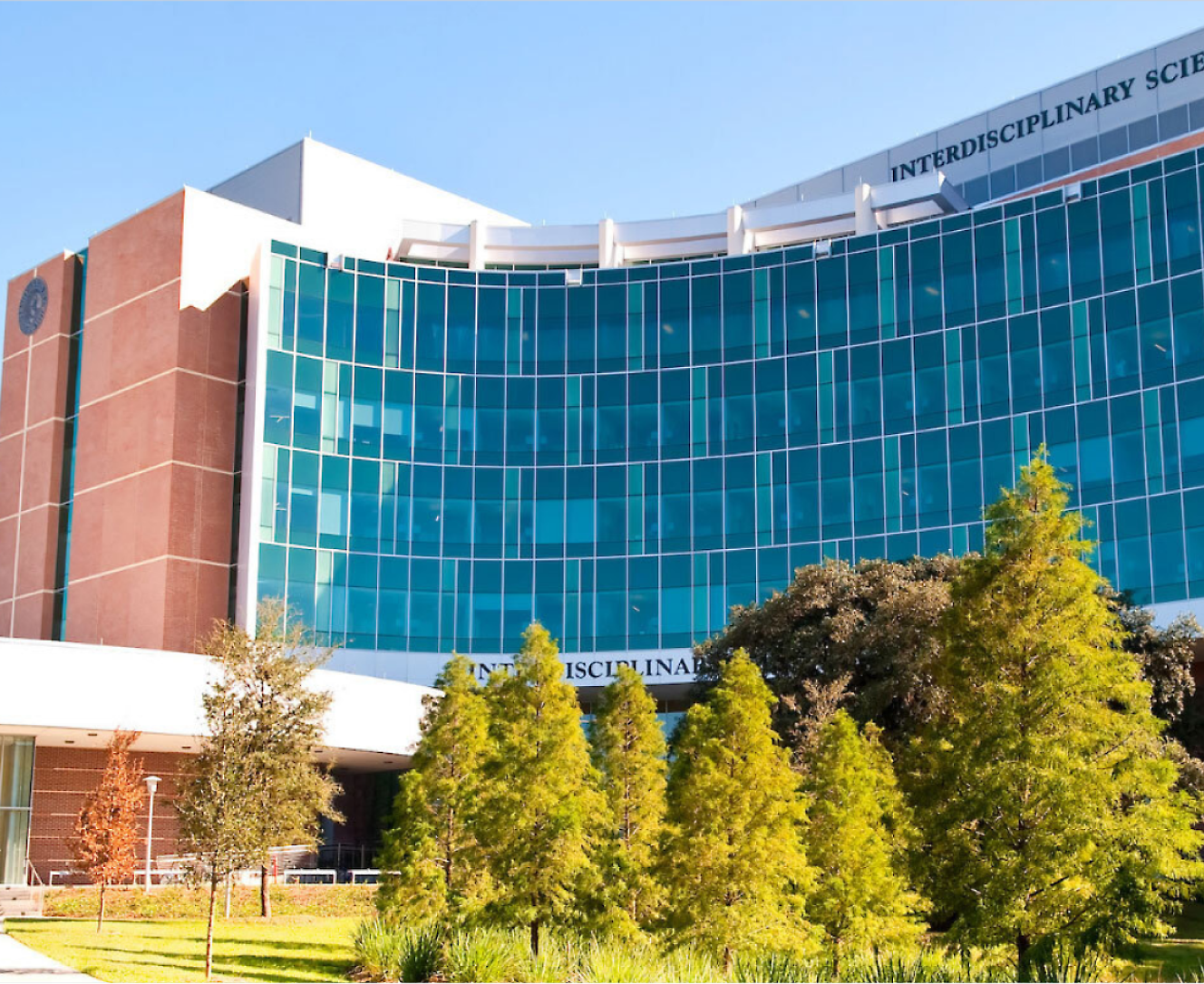 Office building with green area with trees on the front of the building