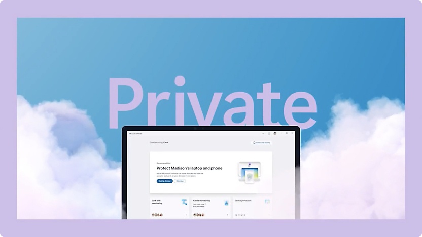 an image with cloudy background and a label in between as Private and in laptop screen defender is open