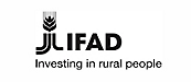 IFAD logo