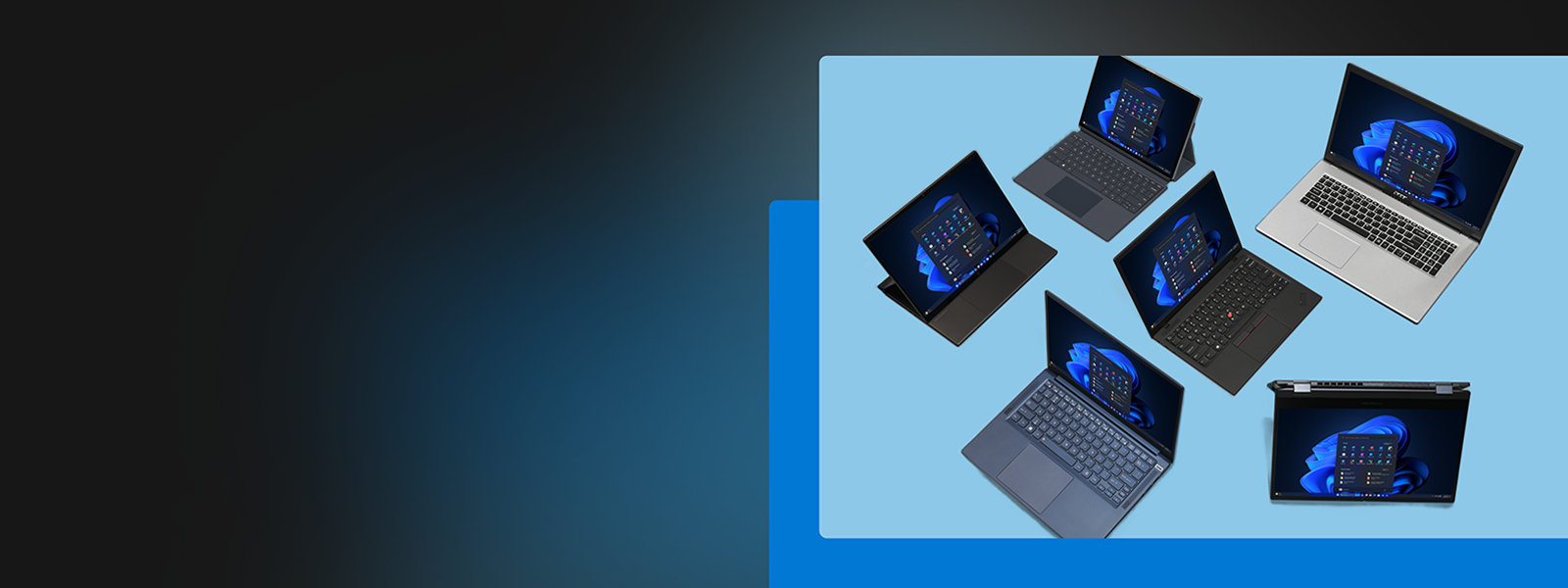 Mehrere Laptops und 2-in-1-Geräte, auf denen der Windows 11-Startbildschirm angezeigt wird.