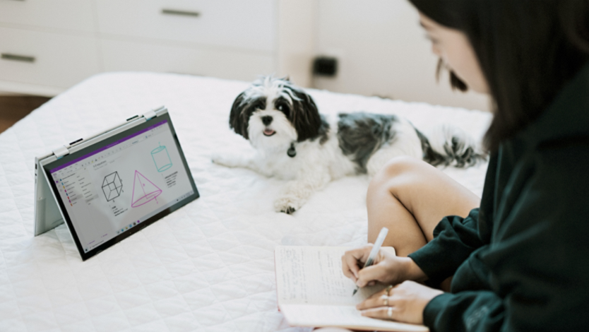 Person with a dog taking notes from laptop screen