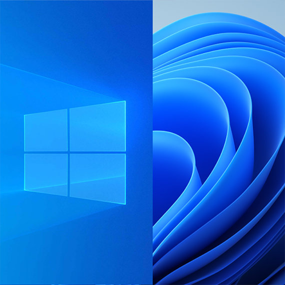 โลโก้หน้าต่างของ Windows 10 และโลโก้ดอกไม้บานของ Windows 11