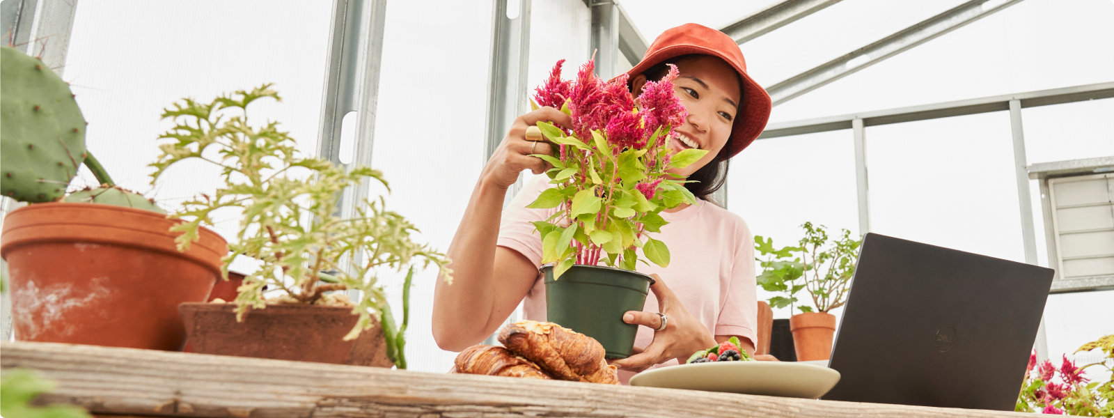 Vrouw met een plant kijkt naar haar laptop