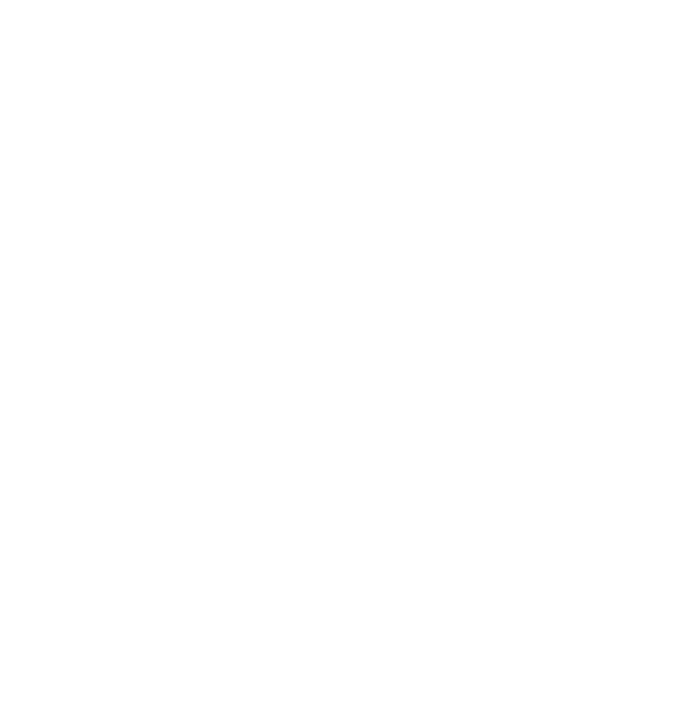 X icon (formally twitter icon)