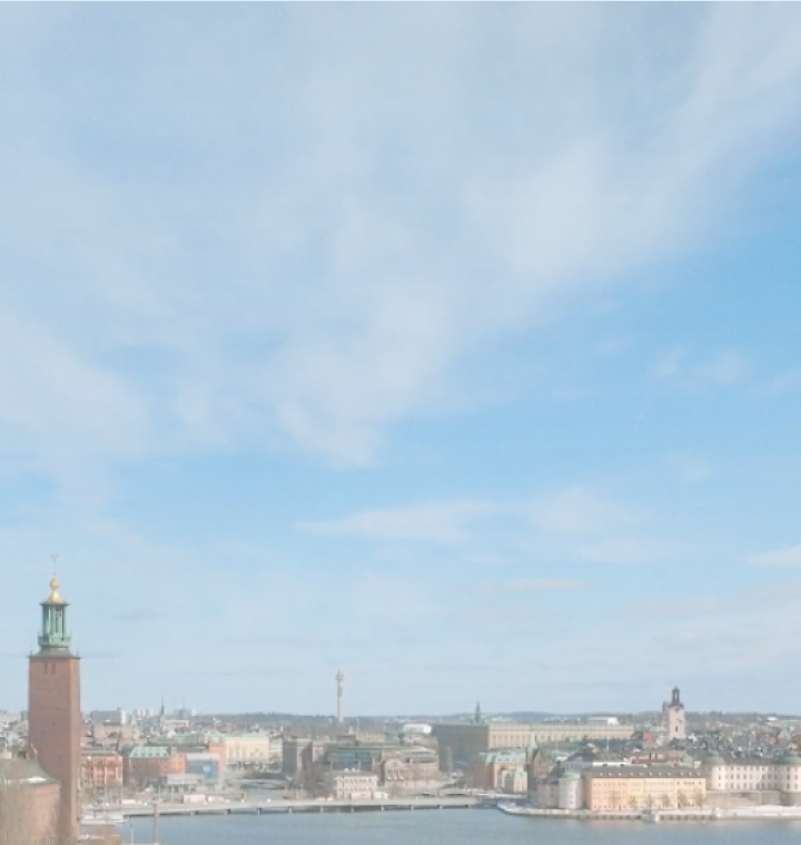 Ein Panoramablick auf die Stockholmer Stadtlandschaft mit dem Rathausturm und verstreuten Turmspitzen unter einem klaren Himmel.