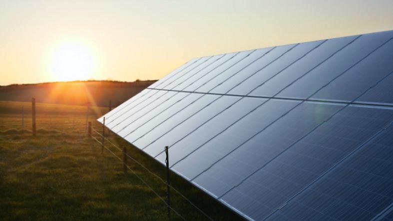 Solar panels in a field at sunset.