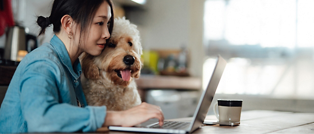 Una persona con un perro usa un equipo