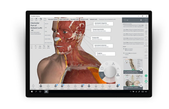 Surface Dial justerer funksjoner i Complete Anatomy.