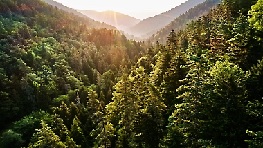 View of a mountain ridge fully covered with trees.