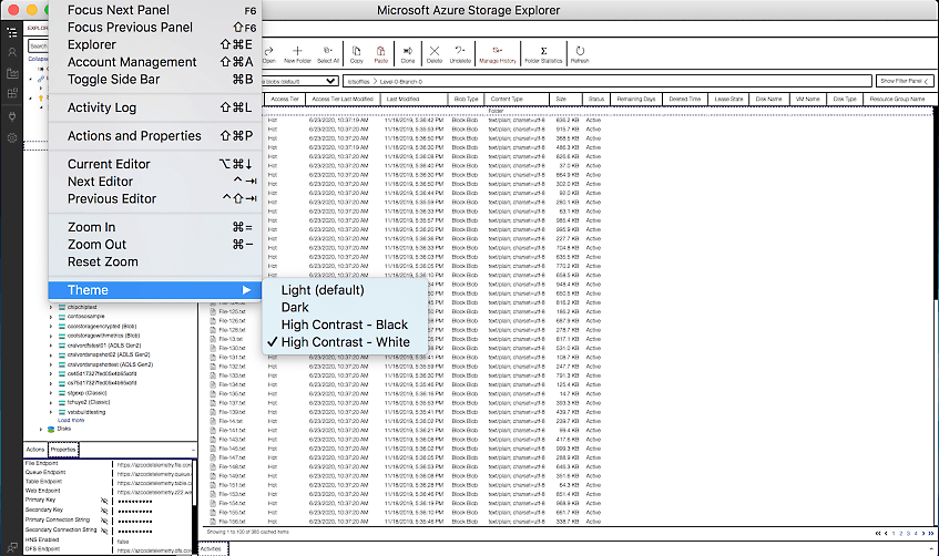 A user changing the visual theme in Storage Explorer