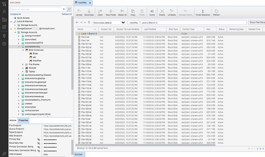 A list of active blobs and their properties in Storage Explorer