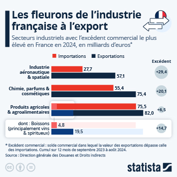 Infographie - Les fleurons de l'industrie française à l'export