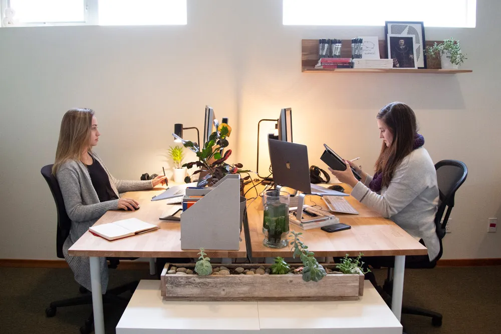 Two members of the Bellingham team at their desks