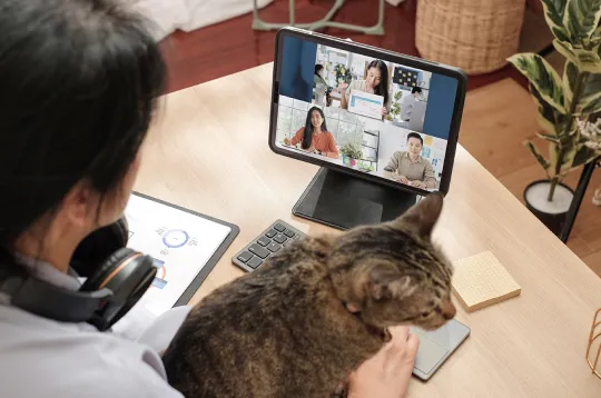 a person and a cat looking at a computer screen