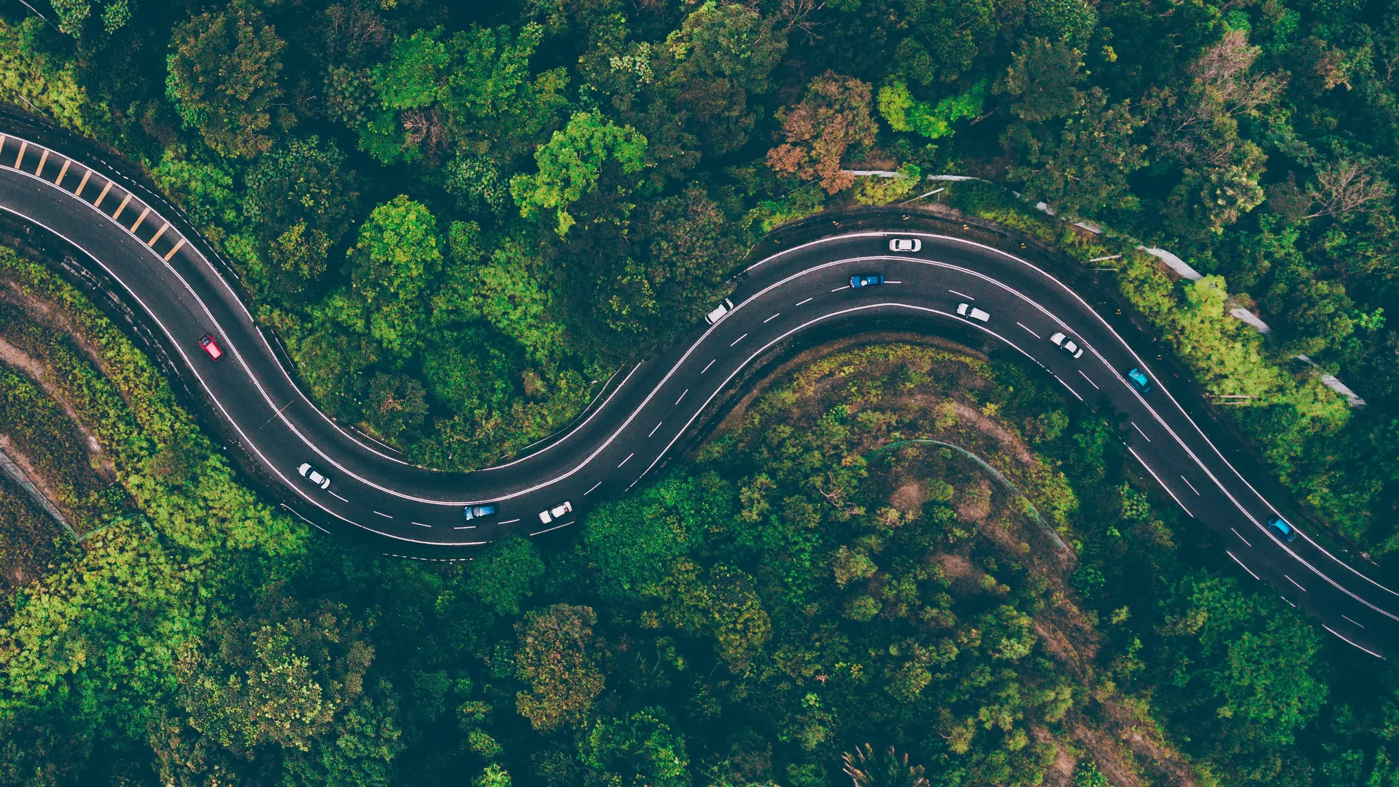 Aerial view of a winding road through a green forest - UserVoice Images