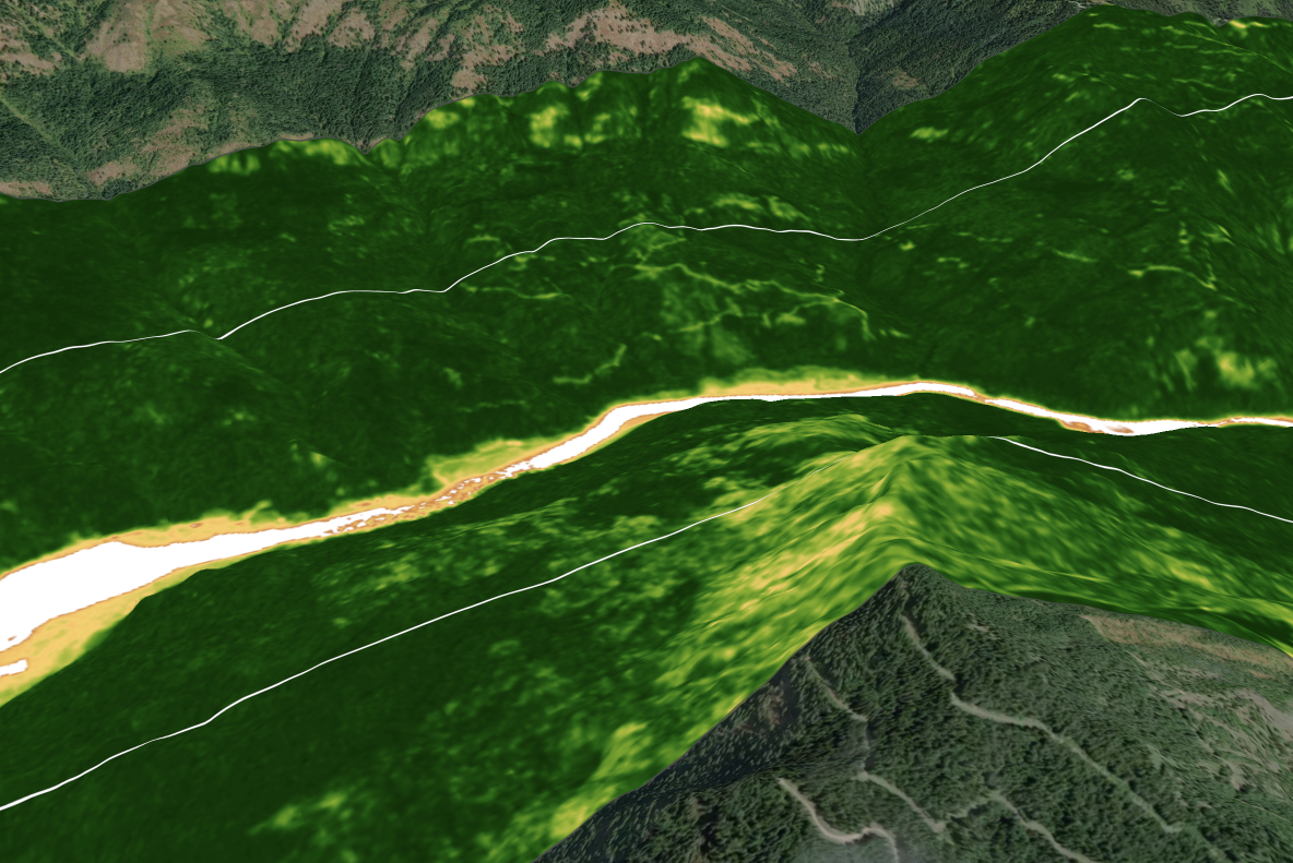 A screenshot of the Lens application with a vegetation layer selected for the Dworshak Basin.