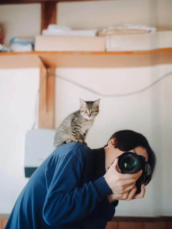 Photographer bending to take a picture in a mirror with a kitten on their shoulder