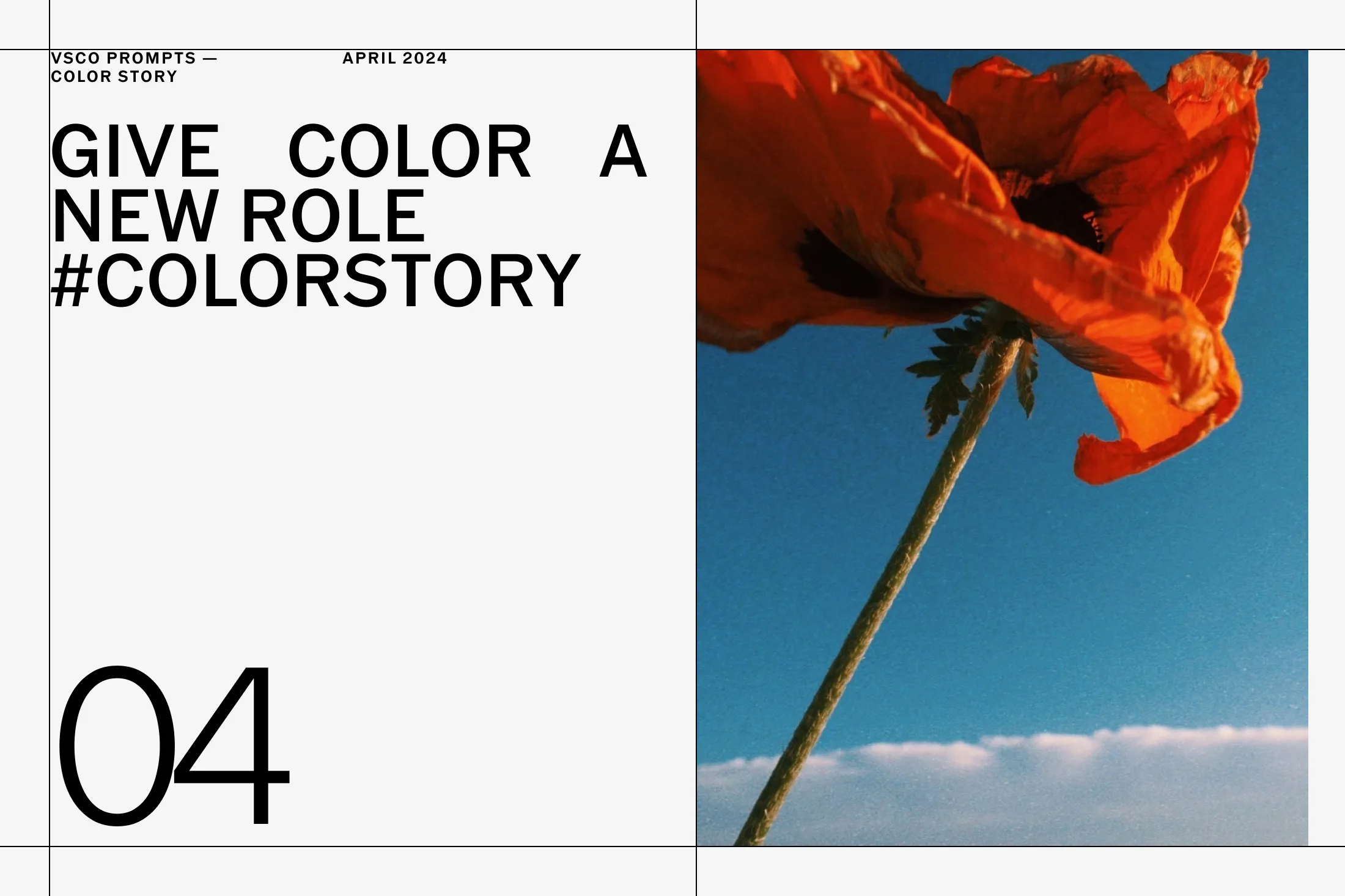 VSCO Prompts: Color Story