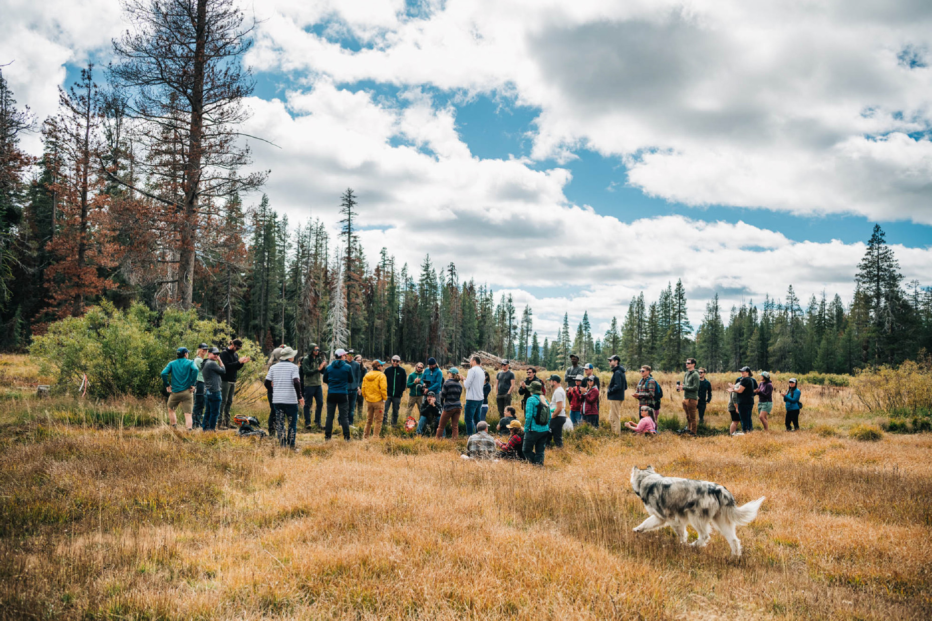 A group of people gathered in an open grassy area surrounded by tall trees and cloudy sky.