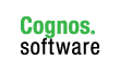 IBM Cognos