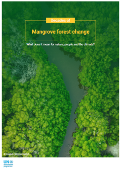 Mangroves report cover