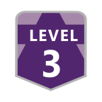 Level 3