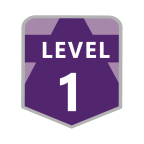 Level 1