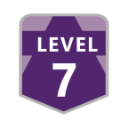 Level 7