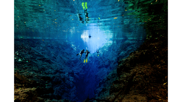 Divers near the bottom of a large sinkhole, Lagoa Misteriosa in Brazil.