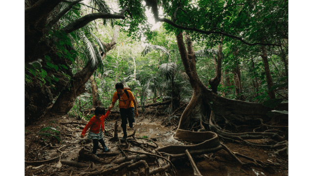 Little girl helping her father while hiking in the jungle of remote Iriomote Island, Okinawa.