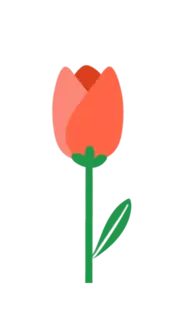 Red swaying tulip