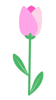 Pink swaying tulip