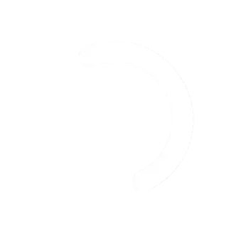 White loading circle icon
