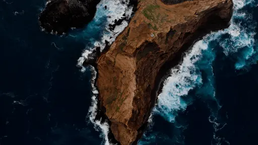 Aerial view of rock in sea