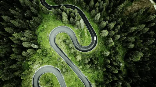 Winding road in forest