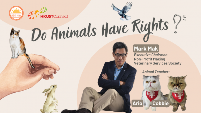 Do animals have rights