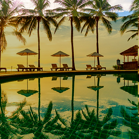 lounge chairs and umbrellas next to palm trees in front of a pool