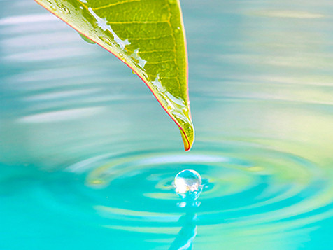 eau tombant d'une feuille dans un lac