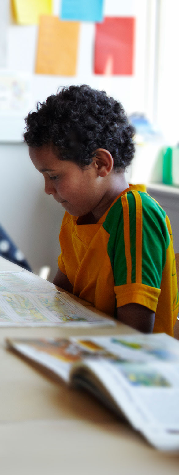 Young boy reading a book