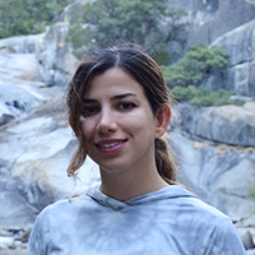 CSE graduate student Helyaneh Ziaei Jam