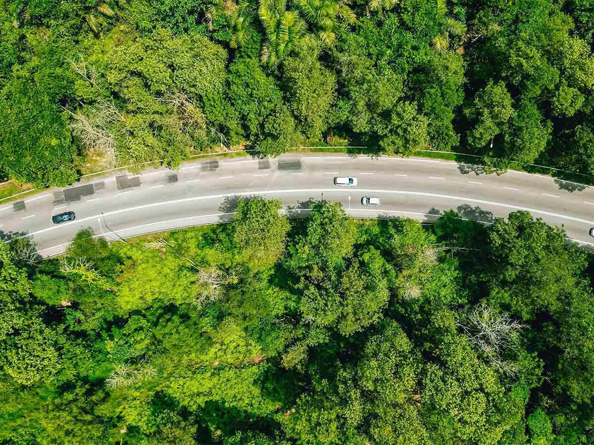 foto aérea de carros na rodovia através de árvores da floresta