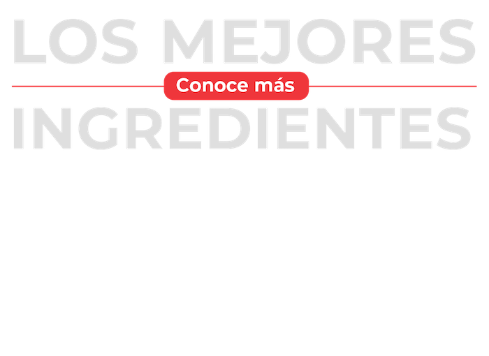 mejores ingredientes