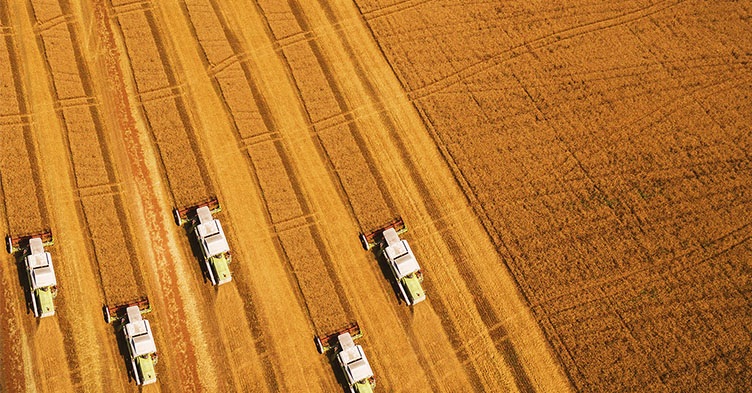 982725922_Harvest-wheat-field-food-beverage-FB_Getty_752x393.jpg