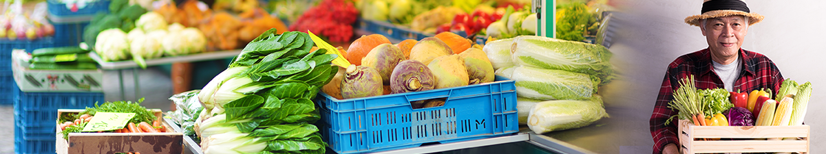 produce stands at a farmers' market; a older man holds a crate of produce